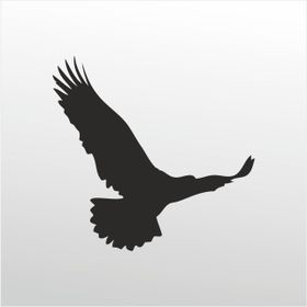 90 cm Kartal Folyo Sticker