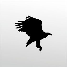 90 cm Kartal Folyo Sticker