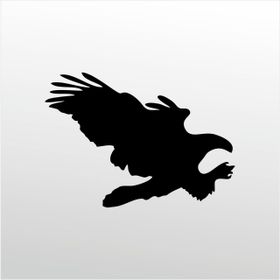 90 cm Kartal Folyo Sticker