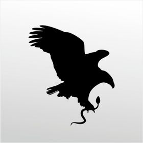 90 cm Kartal Folyo Sticker