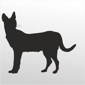 90 cm Kedi Folyo Sticker