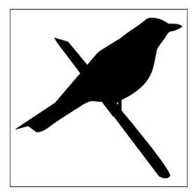 90 cm Kuş Folyo Sticker