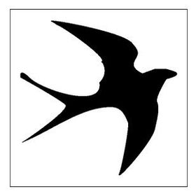 90 cm Kuş Folyo Sticker