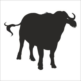 90 cm Manda Folyo Sticker