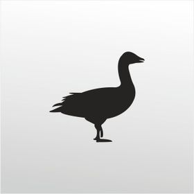 90 cm Ördek Folyo Sticker