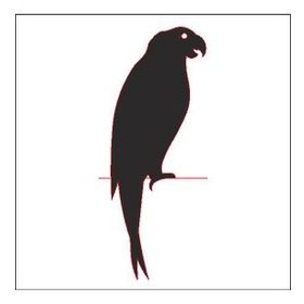 90 cm Papağan Folyo Sticker