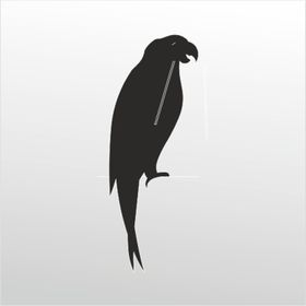 90 cm Papağan Folyo Sticker