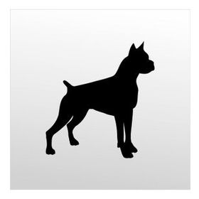90 cm Pitbull Folyo Sticker