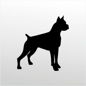 90 cm Pitbull Folyo Sticker