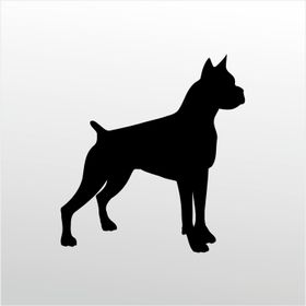 90 cm Pitbull Folyo Sticker