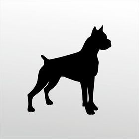 90 cm Pitbull Folyo Sticker