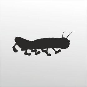 90 cm Tırtıl Folyo Sticker
