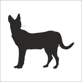 90 cm Vaşak Folyo Sticker