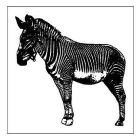 90 cm Zebra Folyo Sticker