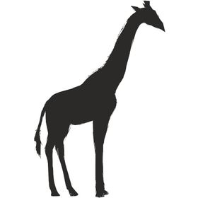 90 cm Zürafa Folyo Sticker