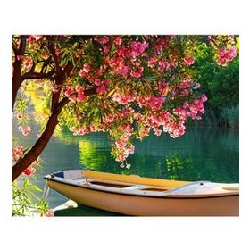 90x110 cm Göldeki Sandal Sayılarla Boyama Seti Rulo Duvar Sticker