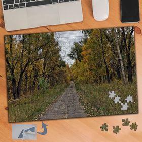915 Ağaçlı Orman Yolu Manzarası 240 Parça Puzzle Yapboz Tablo