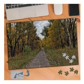 915 Ağaçlı Orman Yolu Manzarası 240 Parça Puzzle Yapboz Tablo
