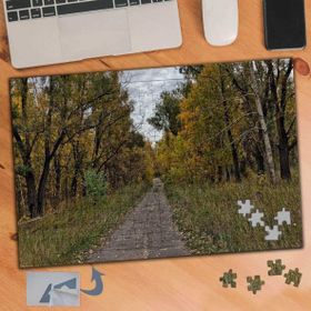 915 Ağaçlı Orman Yolu Manzarası 240 Parça Puzzle Yapboz Tablo