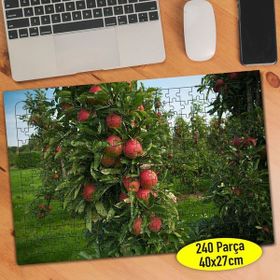 91610362 Meyve Bahçesi Elma Ağacı 240 Parça Puzzle Yapboz