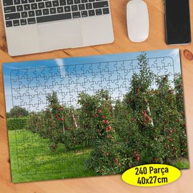 91610504 Meyve Bahçesi Elma Ağacı 240 Parça Puzzle Yapboz