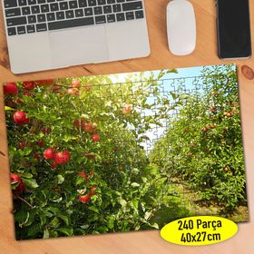 91722412 Meyve Bahçesi Elma Ağacı 240 Parça Puzzle Yapboz