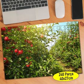 91722412 Meyve Bahçesi Elma Ağacı 240 Parça Puzzle Yapboz
