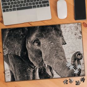 919022 Yaşlı Fil 240 Parça Puzzle Yapboz