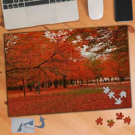 943 Kırmızı Yapraklar Manzarası 240 Parça Puzzle Yapboz Tablo