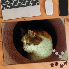 970614 Etrafı Seyreden Kedi 240 Parça Puzzle Yapboz