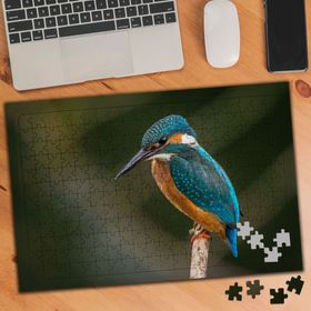 983944 Mavi Kanatlı Ağaçkakan 240 Parça Puzzle Yapboz