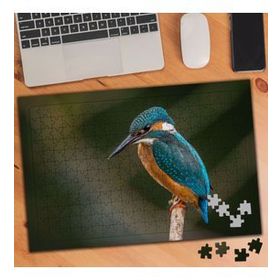 983944 Mavi Kanatlı Ağaçkakan 240 Parça Puzzle Yapboz