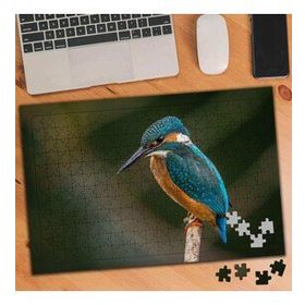 983944 Mavi Kanatlı Ağaçkakan 240 Parça Puzzle Yapboz