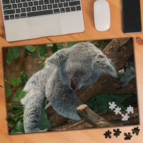 9960 Miskin Koala 240 Parça Puzzle Yapboz