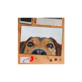 9C5B Yarım Görünen Köpekcik 240 Parça Puzzle Yapboz Tablo