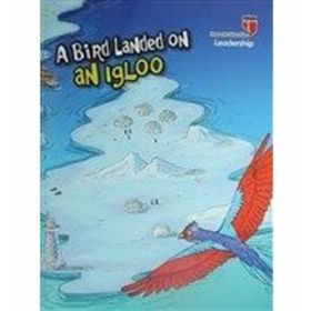 A Bird Landed on an Igloo - Leadership Neriman Karatekin