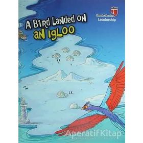 A Bird Landed on an Igloo - Leadership Neriman Karatekin