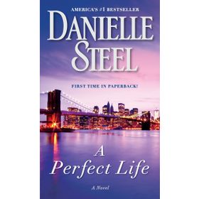 A Perfect Life - Danielle Steel