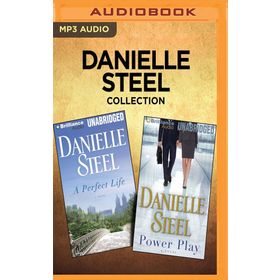 A Perfect Life - Danielle Steel
