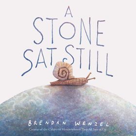 A Stone Sat Still - Brendan Wenzel