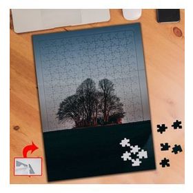 A0052 Ağaçlar Gün Batımı Doğa 240 Parça Puzzle Yapboz Tablo