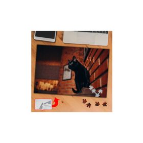 A01544 Evde Kara Kedi Hayvan 240 Parça Puzzle Yapboz Tablo