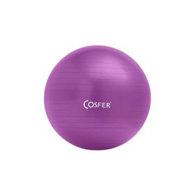 A101 Mor 55 cm Pilates Topu