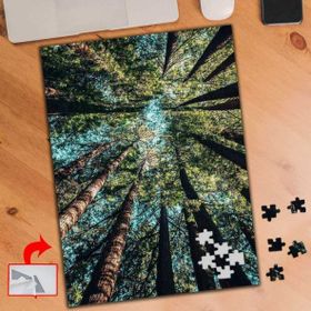 A304 Yosemite Ulusal Park Ağaçlar 240 Parça Puzzle Yapboz Tablo