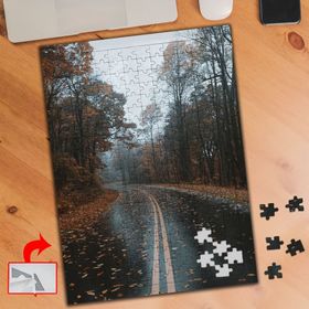 A819 Sonbahar Yağmur Yapraklar 240 Parça Puzzle Yapboz Tablo