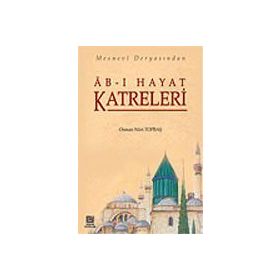 Ab-ı Hayat Katreleri Mesnevi Deryasından - Osman Nuri Topbaş