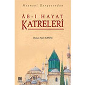 Ab-ı Hayat Katreleri Mesnevi Deryasından - Osman Nuri Topbaş
