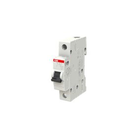 ABB 2CDS631031R0065 BASİC-B 1X6A 3kA Otomatik Sigorta