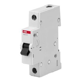 ABB 2CDS651061R0204 Basic C Tipi Otomatik Sigorta Kutusu