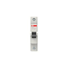 ABB 2CDS651061R0204 Basic C Tipi Otomatik Sigorta Kutusu